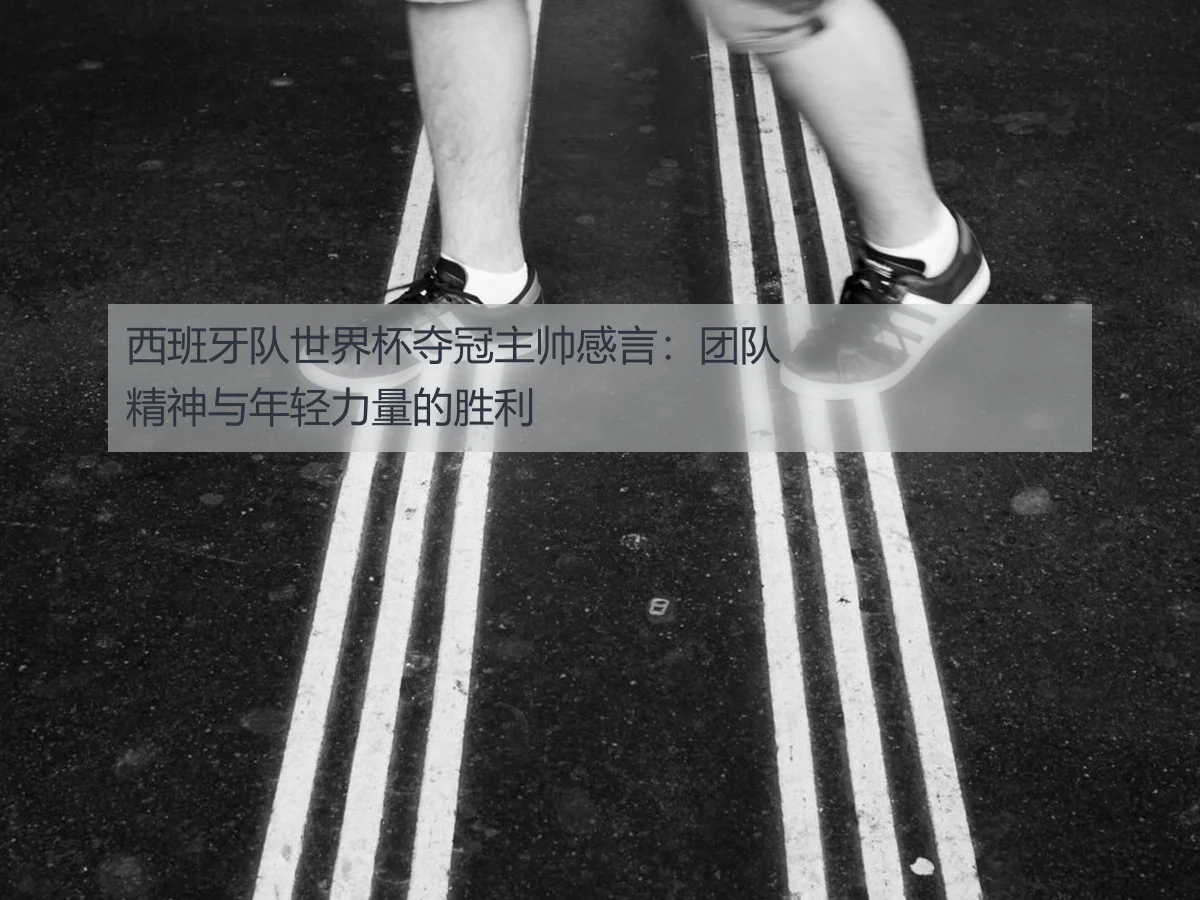 西班牙队世界杯夺冠主帅感言：团队精神与年轻力量的胜利